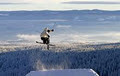 Silver Star Mountain Resort image 1