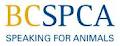 Society For The Prevention Of Cruelty To Animals (BC SPCA) logo