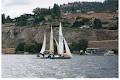 South Okanagan Sailing Assn image 3