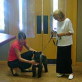 Southgate Animal Hospital image 1