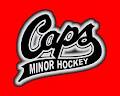 St John's Minor Hockey Association image 2