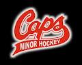 St John's Minor Hockey Association logo