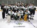 St Thomas Minor Hockey Assn image 5