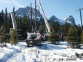 Stampede Crane & Rigging logo