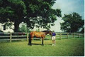 StoneSpring Farm image 3