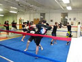 Sudbury MMA image 2
