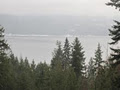 Sunny Shuswap Cabin Rentals image 4