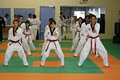 Tae Ryong Park Academy - Martial Arts & Adult Fitness image 2