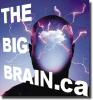 The Big Brain logo