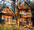 The Cabins at Terrace Beach Ucluelet logo