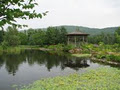 The New Brunswick Botanical Garden image 4