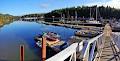 Thetis Island Marina image 2