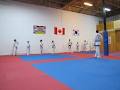 Thompson Valley Taekwon-Do image 5