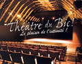Théâtre Du Bic logo