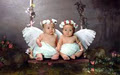 ToyBox Studio Langley Baby and Children's Photography image 1