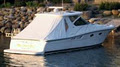 Trims COL Enterprises Custom Boat Tops image 3