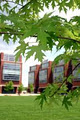 University of Ontario Institute of Technology image 1