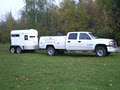 Van Dyck Equine Veterinary Services image 2