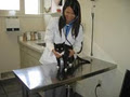 Vancouver Veterinary Hospital image 5