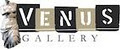 Venus Gallery image 1