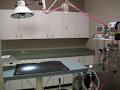Wellington Veterinary Services image 3