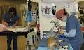 Western Veterinary Specialist and Emergency Centre image 1