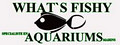 What's Fishy image 4