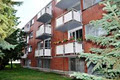 White Spruce Apartments image 3