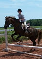 WildWind Equestrian Center image 4