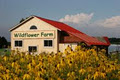 Wildflower Farm logo