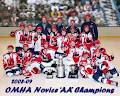 Windsor Minor Hockey Association image 4
