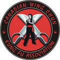 Wing Chun Kung Fu Academy image 1