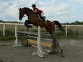 Woodline Equestrian Ltd. image 3