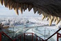 World's Largest Dinosaur image 1
