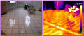 eco Home Inspectors Energy Audit Assessment Infrared Ottawa Inspection image 2