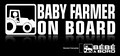 www.baby-onboard.com image 4
