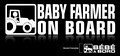www.baby-onboard.com image 4