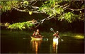 1000 Islands Kayaking Company image 1