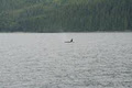 Adventure West Sailing Vacations image 6