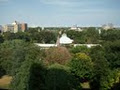 Allan Gardens Conservatory image 1