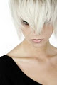 Alta Moda Hair Ltd. image 1