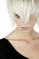 Alta Moda Hair Ltd. logo