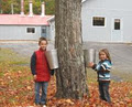 Au sentier de l'érable image 4