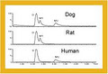 BRI Biopharmaceutical Research image 2