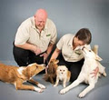 Bark Busters In Home Dog Training image 3