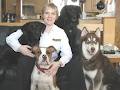 Bark Busters In Home Dog Training image 4