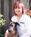 Bark Busters In Home Dog Training image 4