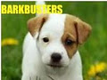 Bark Busters In Home Dog and Puppy Training logo