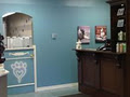 Bark lounge and Spa Company dog grooming image 4