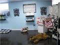 Bath 'N' Splash Pet Grooming & Spaw Ltd image 3